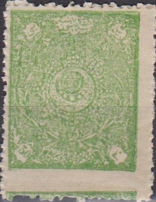 Horn of plenty (Craterellus cornucopioides)