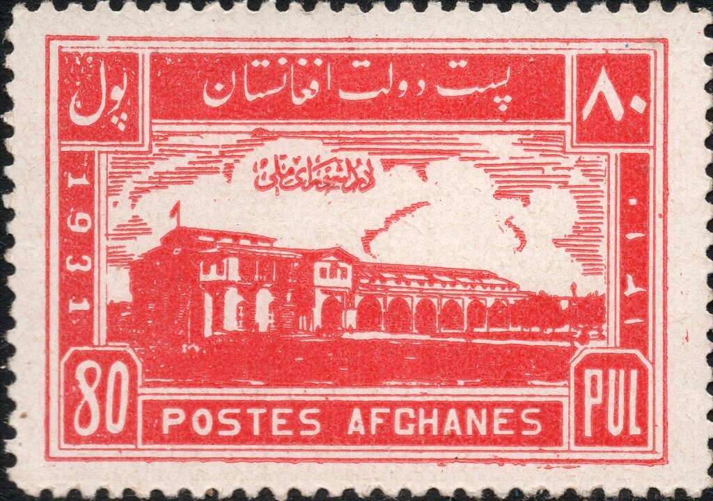 Masked Lovebird (Agapornis personatus)