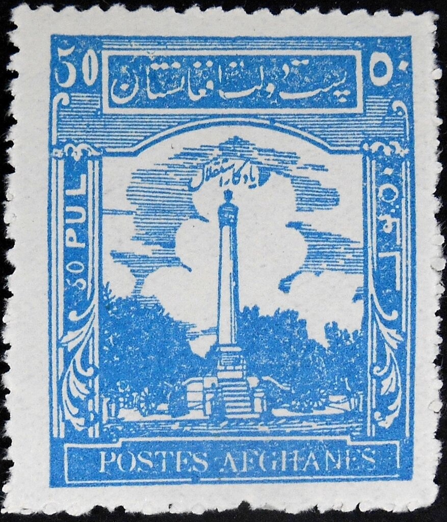 Afghan Hound (Canis familiaris)