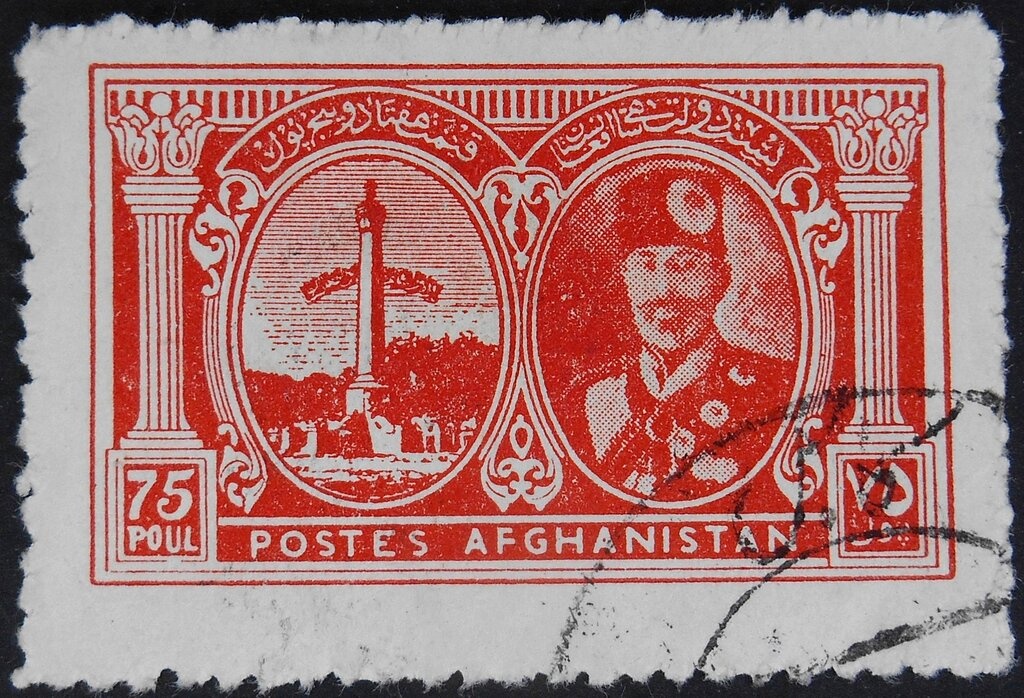 Horse (Equus ferus caballus)