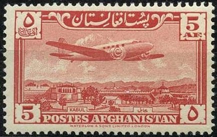 Oyster mushroom (Pleurotus spodoleucus)