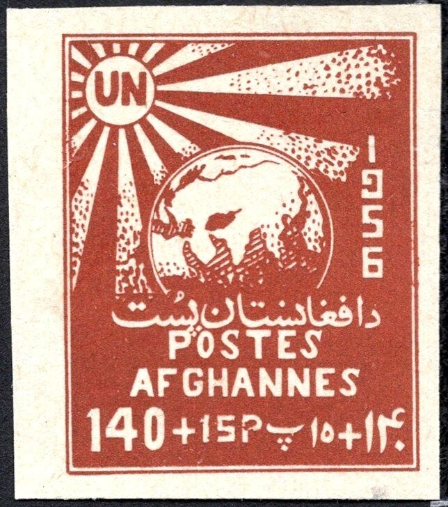 Buzkashi Game, Horse (Equus ferus caballus)