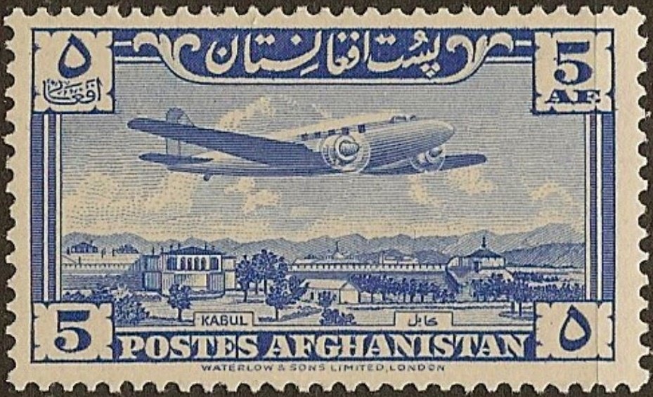 Horse (Equus ferus caballus)