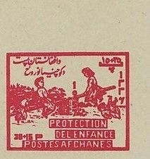 Judas Tree Blossoms (Cercis siliquastrum)