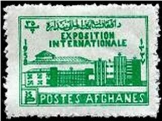 Bloodhound (Canis lupus familiaris)