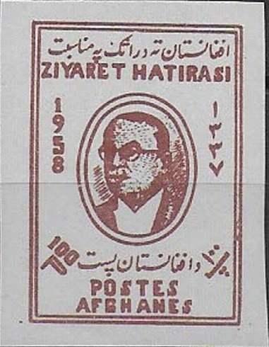 Horse (Equus ferus caballus) - Mare with Foal