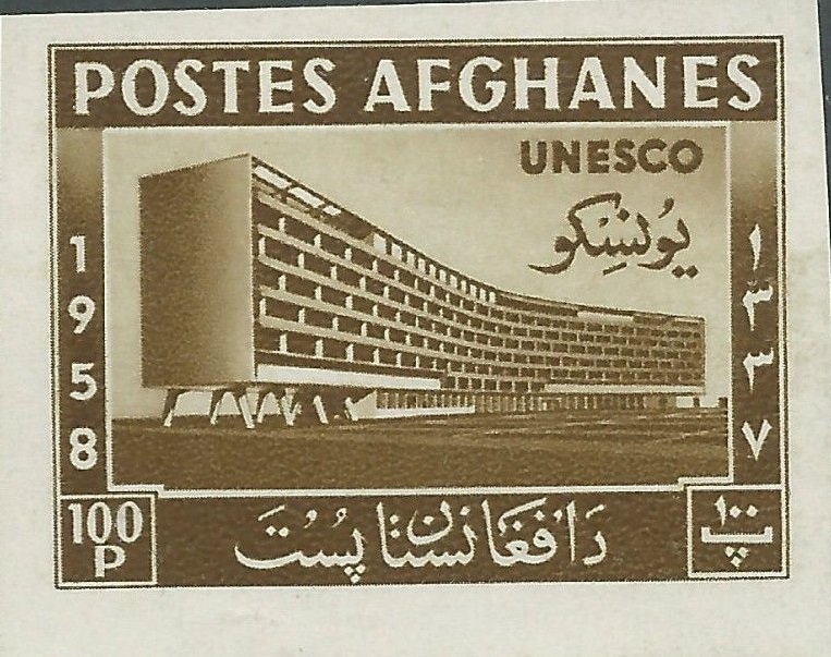 Oriental Shorthair (Felis silvestris catus)