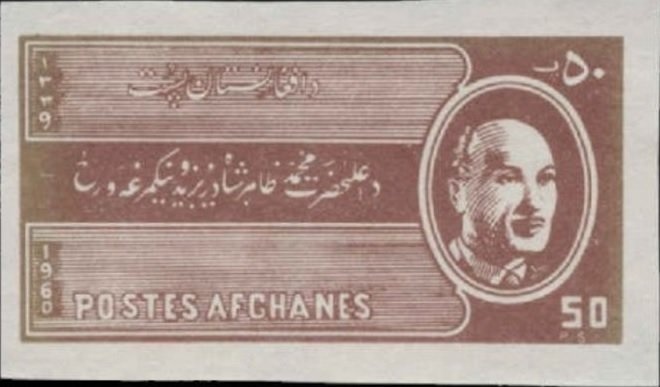 Oyster mushroom (Pleurotus spodoleucus)