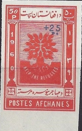 Horse Racing, Hore (Equus ferus caballus)