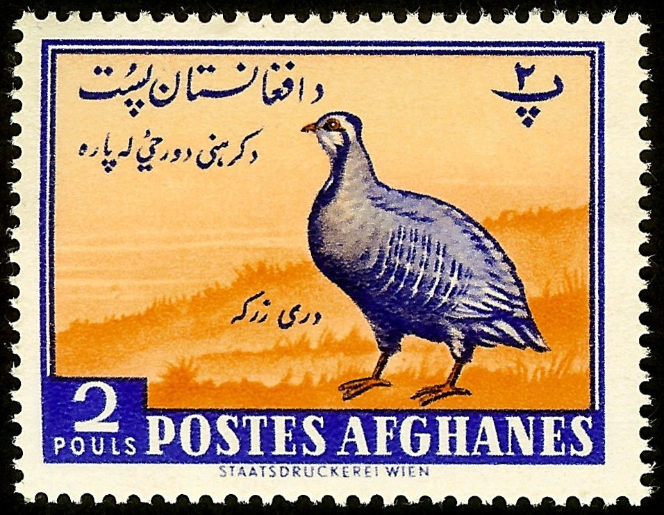 Muhammad Musa Shafiq, Former Prime Minister