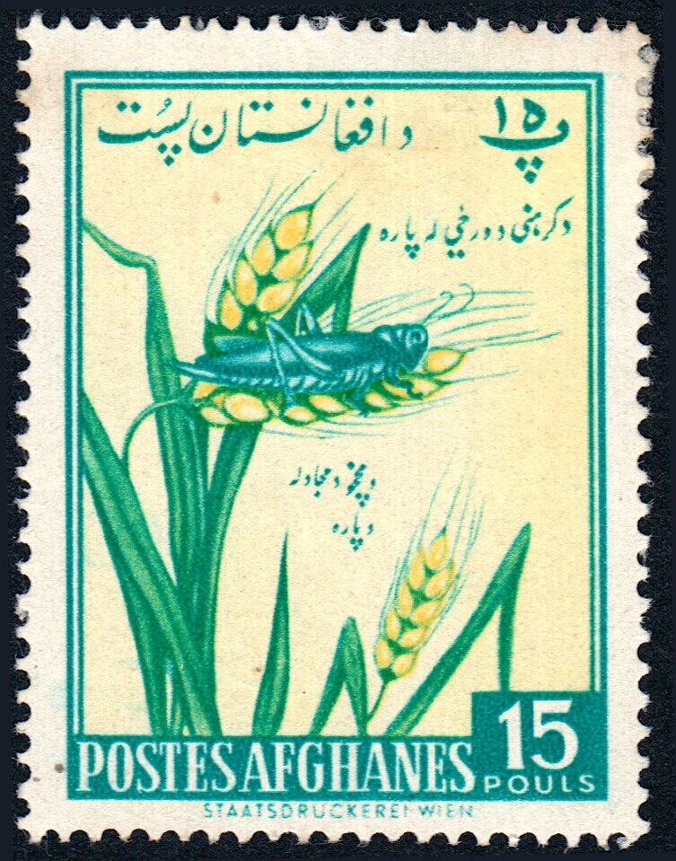 Flying machine designed by Leonardo Da Vinci