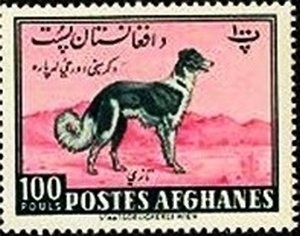 Honda and Mt. Fuji, Japan