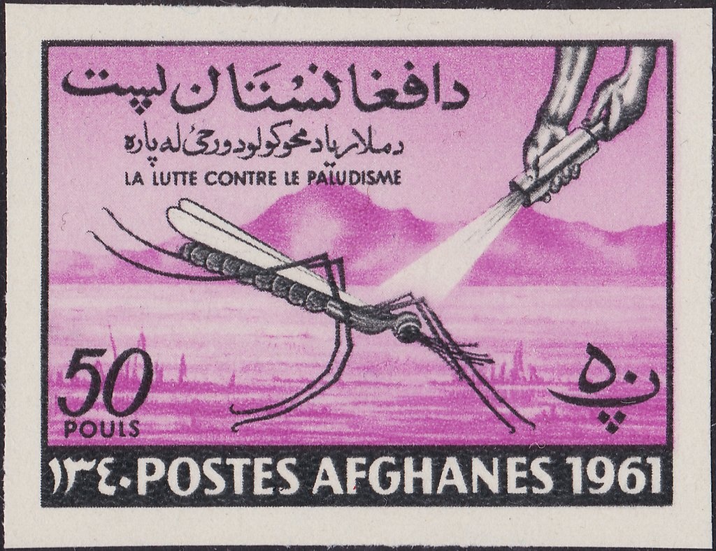 Head of Buddha (4th/5th-century)