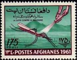 Poppy head, resin and skulls