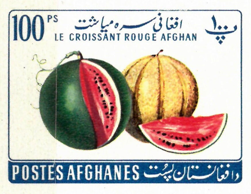 Plowing Fields, Domestic Cattle (Bos taurus)