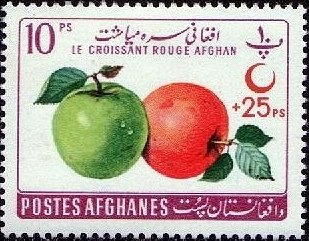 Giuseppe Garibaldi (1807-1882)