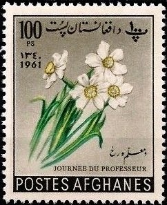 Apollo, Head of Colossus of Rhodes