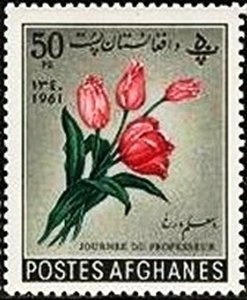 Exhibition Hall, Kabul