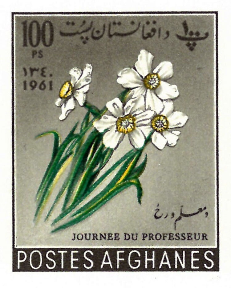 Tiger's Head, year 1295