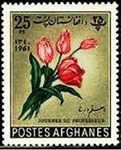 13th World Telecommunications Day