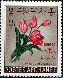 Anopheles Mosquito (Anopheles sp.)