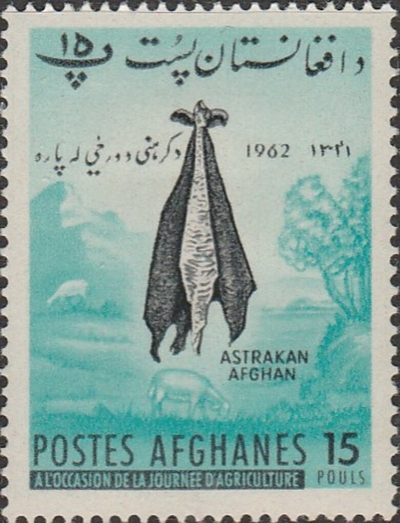 Cut Square 26 mm, year 1298