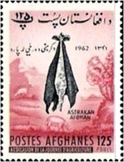 UN Headquarters, NY and Flags of UN and Afghanistan