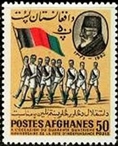 Burmese Seal Point (Felis silvestris catus)