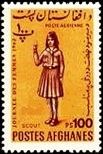 Horse (Equus ferus caballus), Miohippus (Oligocene)