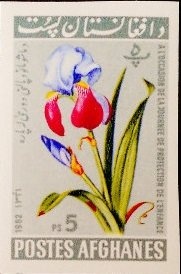 Construction of Power Station