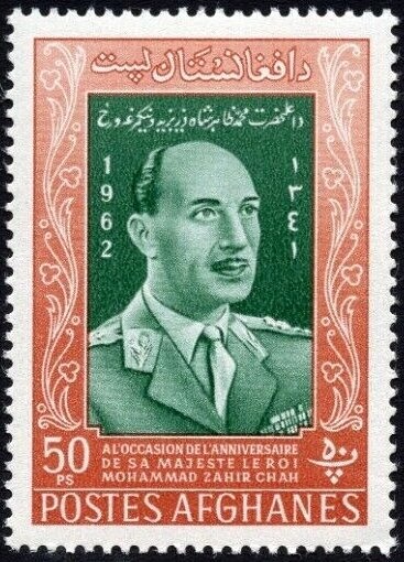 Peregrine Falcon (Falco peregrinus)