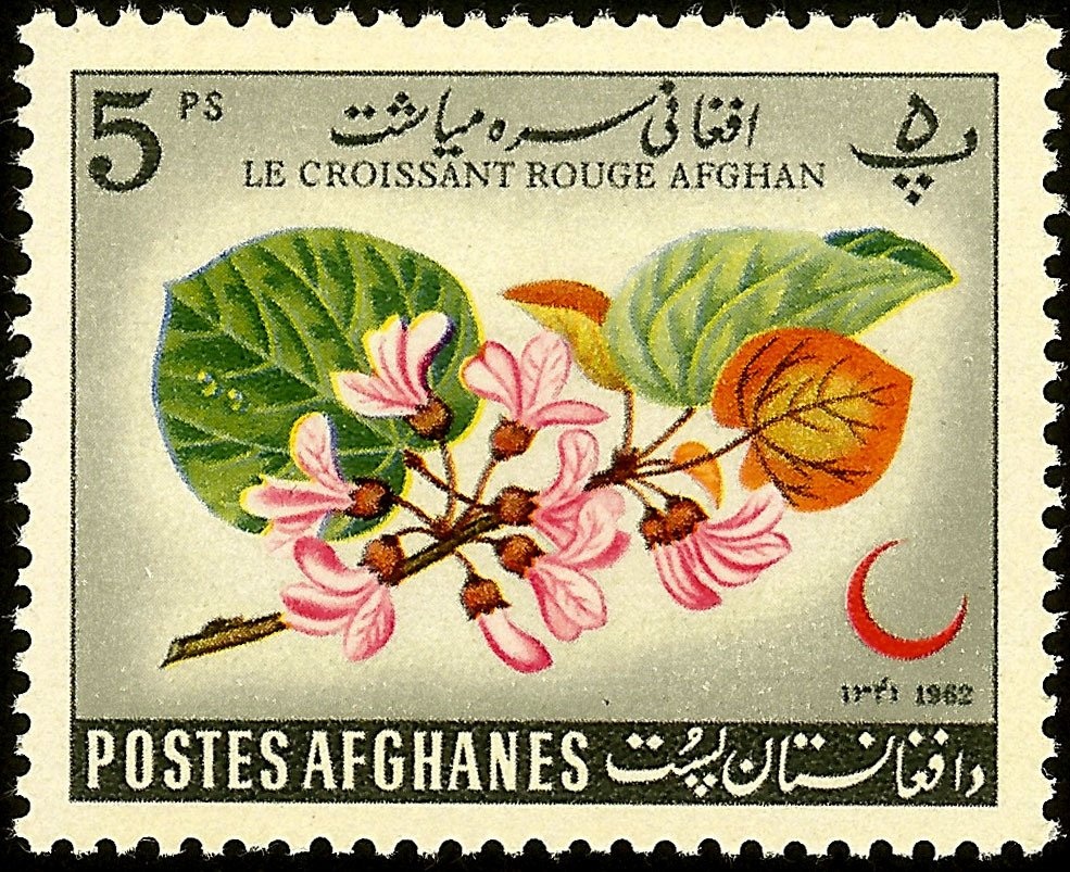 Mirwais Hotak (1673-1715), Tribal Chief