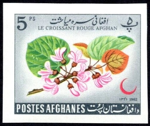 4th Anniversary of the Saur Revolution