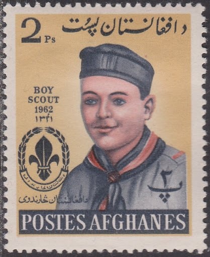 Judas Tree Blossoms (Cercis siliquastrum)