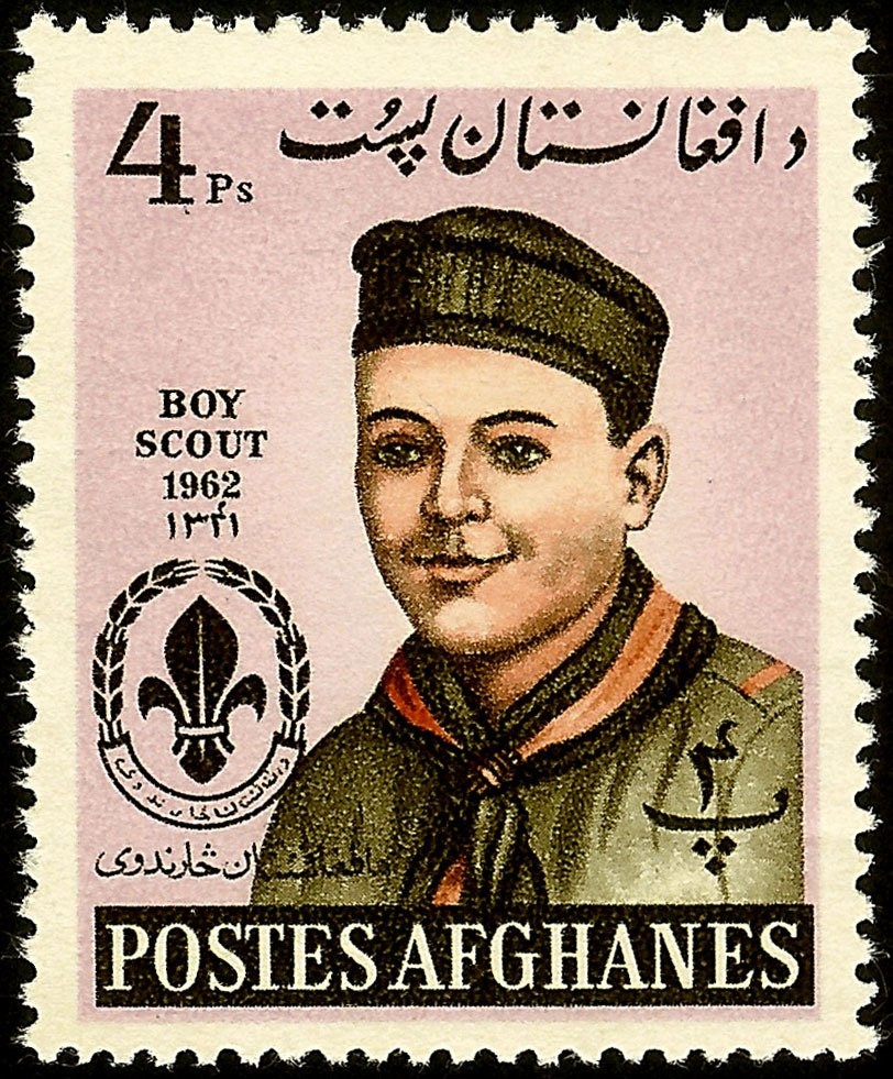 Bactrian Camel (Camelus bactrianus) in ornate caparison