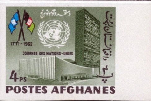 Plowing Fields, Domestic Cattle (Bos taurus)