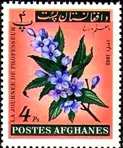 Cut Square 26 mm, year 1298