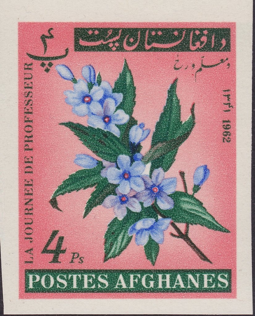 King George V (1865-1936)