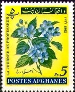 EUROPA 2021 - Deer and Mountain Goat