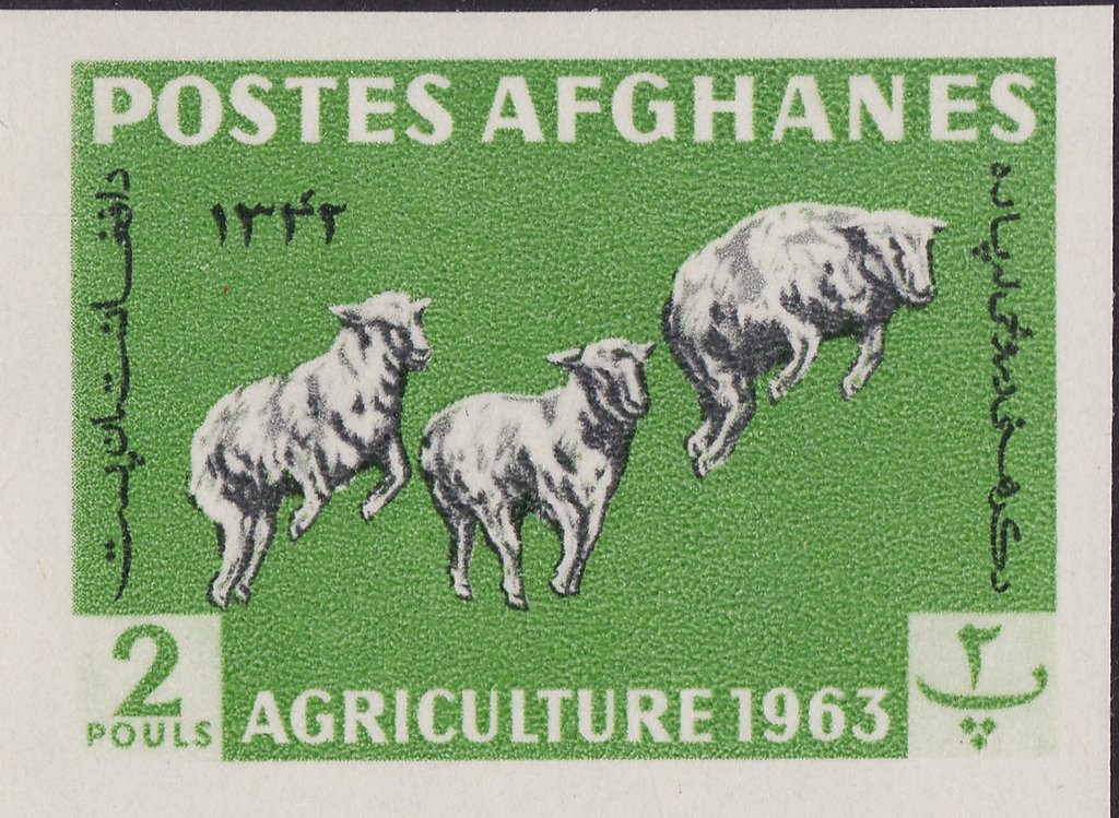 Tenth Anniversary of Afghan Airlines (ARIANA)