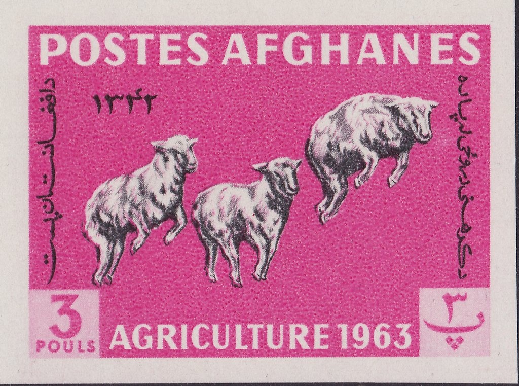 Flags of the U.N. and Afghanistan