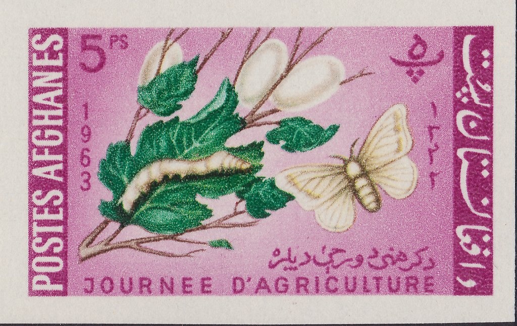 King Mohammed Nadir Shah (1883-1933)