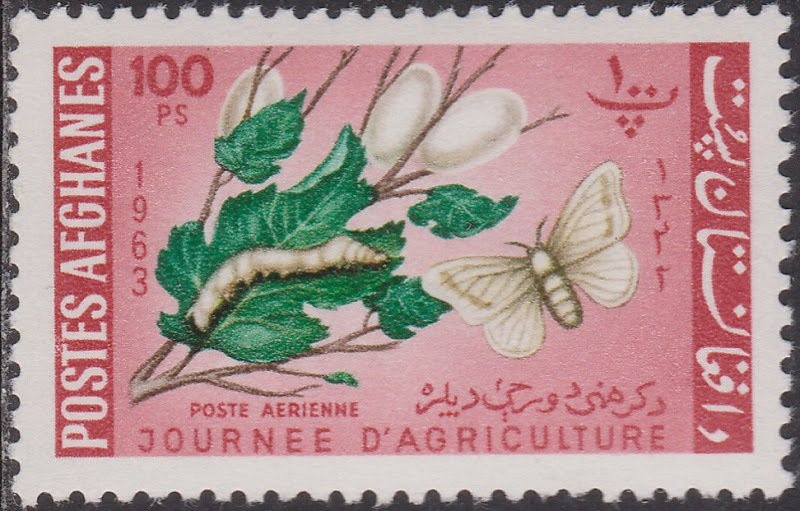 Scouts Planting Trees