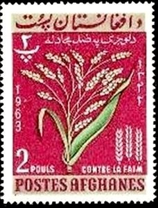 Grapes (Vitis vinifera)