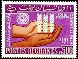 Tetsu Nakamura, Humanitarian