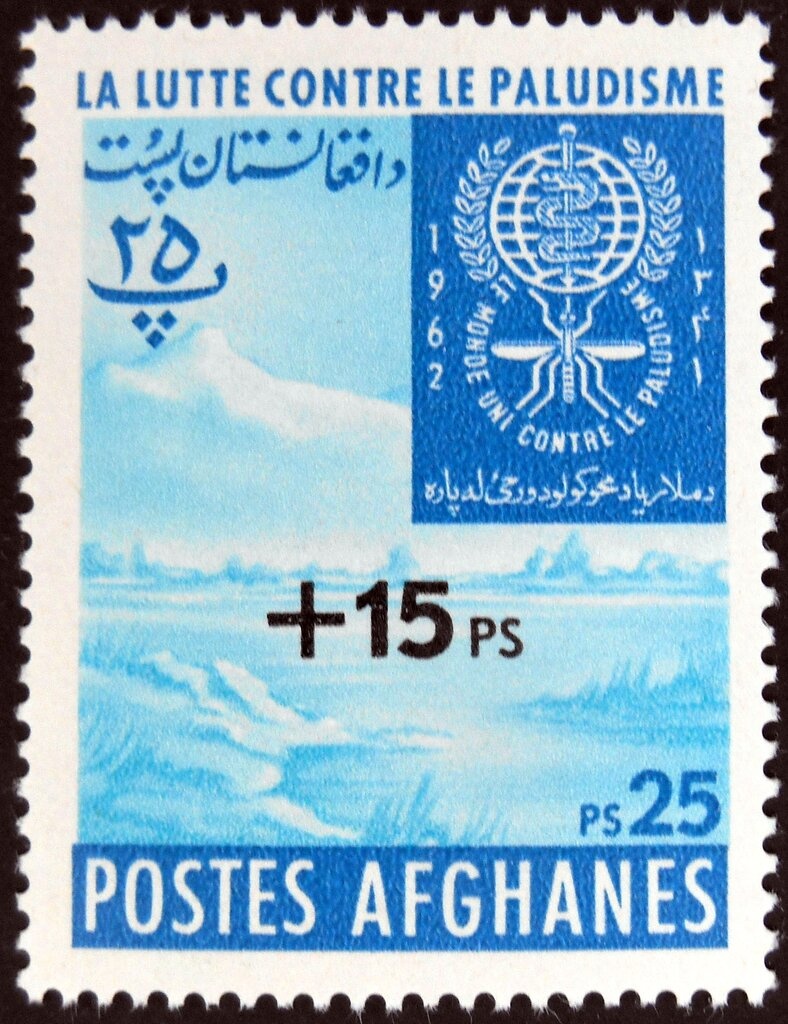 Ahmad Shah Khan, Crown Prince of Afghanistan