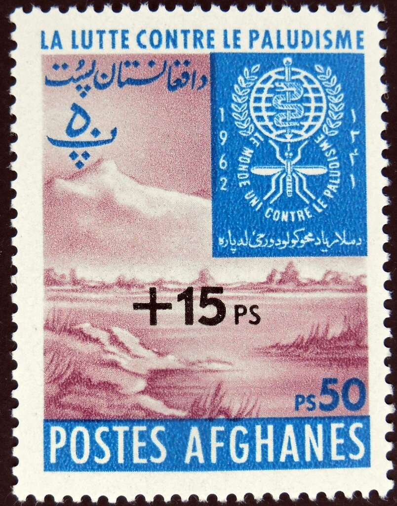 King Nadir Shah (1880-1933) and Sportsmen with National Flag