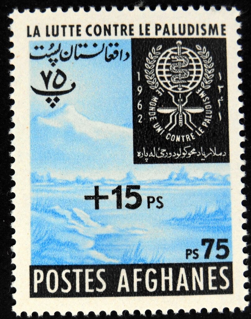 Ruins at Qalai Bust - Brown