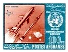 Black-winged Lovebird (Agapornis taranta)