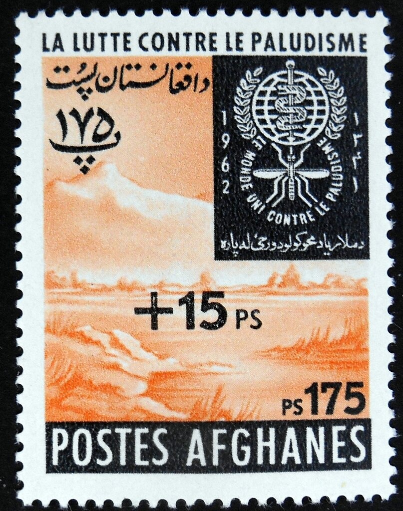 Tulip (Tulipa sp.), Surcharged